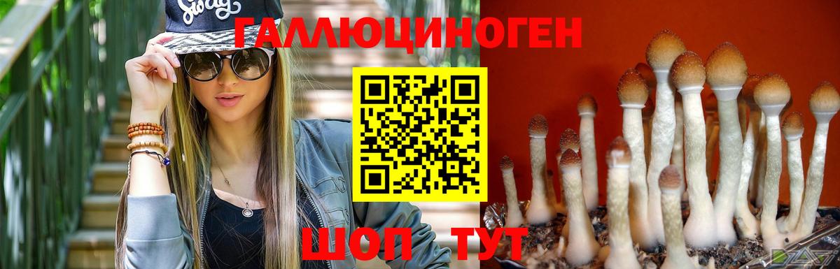 Благовещенск  Галлюциногенные грибы MAGIC MUSHROOMS  Вход с VPN 
