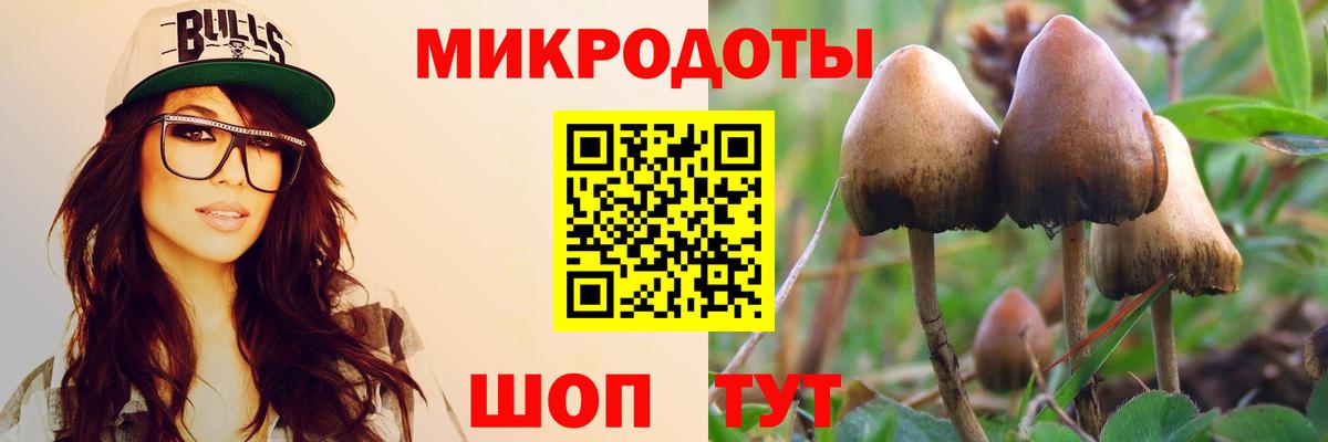 Псилоцибиновые грибы MAGIC MUSHROOMS Благовещенск